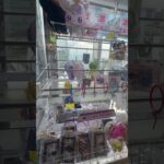 ハピハピ♪ #ゲーセン #shorts  #cranegame  #フック #夾娃娃機 #ゲームセンター ＃ゲーセン＃倉庫系 #クレーンゲーム #ゲッタースピン