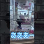 無念。 #ゲーセン #shorts  #cranegame  #フック #夾娃娃機 #ゲームセンター ＃ゲーセン＃倉庫系 #クレーンゲーム #ゲッタースピン