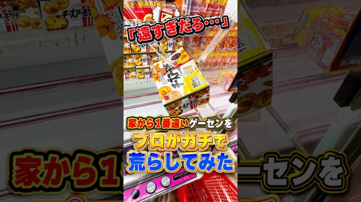 プロが家から一番遠いゲーセンでカートパンパンにするといくらかかるのか検証してみたら、、、 #shorts #クレーンゲーム #ufoキャッチャー # ゲーセン #ゲームセンター  #万代十勝音更店