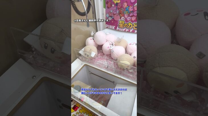カービィのぬいぐるみが景品のクレーンゲームに挑戦してみた！#shorts #ufoキャッチャー #クレーンゲーム #ゲームセンター #ゲーセン #星のカービィ