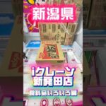 【新潟】買うより安い？激ヤバゲーセンに来た #shorts #クレーンゲーム #ufoキャッチャー #お菓子  #新潟 #橋渡し