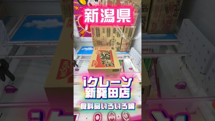 【新潟】買うより安い？激ヤバゲーセンに来た #shorts #クレーンゲーム #ufoキャッチャー #お菓子  #新潟 #橋渡し