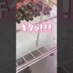 これは欲しい😆#shorts #クレーンゲーム #ufoキャッチャー