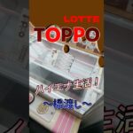 トッポはチョコがなくなるまで吸います。#shorts#クレーンゲーム#ゲーセン#コツ#お菓子#攻略#ちいかわ#ぬいぐるみ#3本爪#確率無視#フック設定