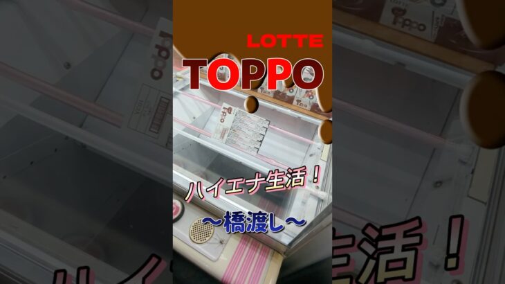 トッポはチョコがなくなるまで吸います。#shorts#クレーンゲーム#ゲーセン#コツ#お菓子#攻略#ちいかわ#ぬいぐるみ#3本爪#確率無視#フック設定