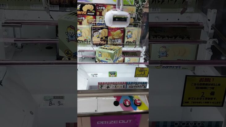 みんなだいすき！ポテトフライ😍 #クレーンゲーム攻略 #クレーンゲーム #アミューズメント限定 #ゲームセンター #クレーンゲーム景品 #ufoキャッチャー #ゲーセン