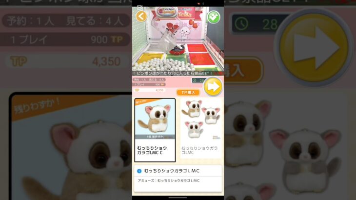トレバ実況　ショウガラゴ💘　 #クレーンゲーム #プライズ獲得 #トレバ #ufoキャッチャー #攻略法 #ゲームセンター #ゲーム #ぬいぐるみ #かわいい