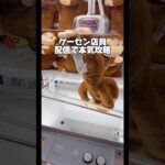 【配信切抜】ゲーセン店員が本気攻略‼️#ゲームセンター #クレーンゲーム #ufoキャッチャー #横浜