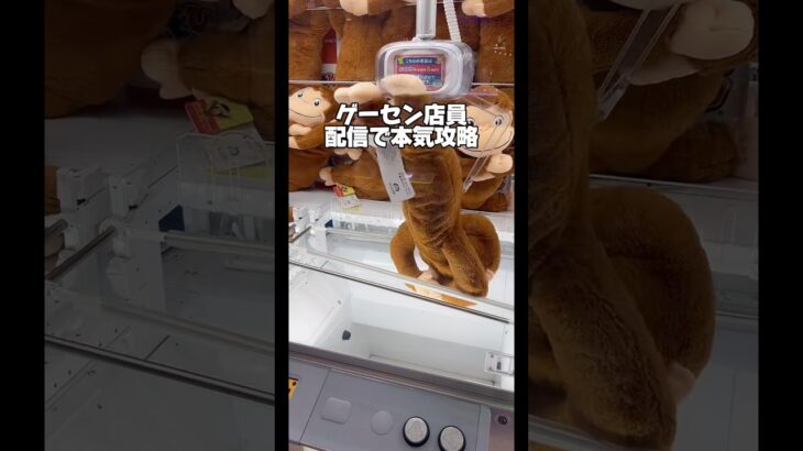 【配信切抜】ゲーセン店員が本気攻略‼️#ゲームセンター #クレーンゲーム #ufoキャッチャー #横浜