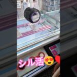 ゲーセンにシールがあったよ😆‼️ #クレーンゲーム攻略 #ゲームセンター #アミューズメント限定 #クレーンゲーム #クレーンゲーム景品 #ufoキャッチャー #シール