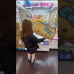 この景品を狙ったら衝撃な結末に… #クレーンゲーム #ufoキャッチャー #ぬいぐるみ #サンリオ