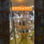 とさつじょうや　屠殺場　ゲームセンター　レトロゲーム　クレーンゲーム　ufoきゃっちゃー　面白い　変な　やばいスポット　工場　ぶあ　ハムスター　モルモット　かわいそう　ぬいぐるみ