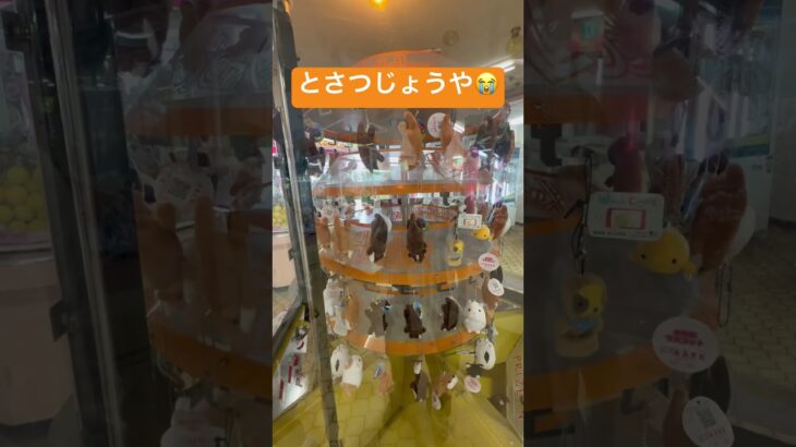 とさつじょうや　屠殺場　ゲームセンター　レトロゲーム　クレーンゲーム　ufoきゃっちゃー　面白い　変な　やばいスポット　工場　ぶあ　ハムスター　モルモット　かわいそう　ぬいぐるみ