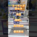 【クレーンゲーム】とっちゃお 桑名店 長箱 橋渡し設定 優良設定 参考動画 #クレーンゲーム #ufoキャッチャー #ゲームセンター #ゲーセン #クレゲ #プライズ獲得 #橋渡し #フィギュア