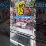 ラウンドワンの謎の設定みんなはやったことある？コメントで教えて✋#クレーンゲーム #ufoキャッチャー #ゲームセンター #ユーフォーキャッチャー #ゲーセン #確率無視 #攻略