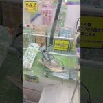 シールたくさんほしいな😍 #クレーンゲーム攻略 #クレーンゲーム #アミューズメント限定 #ゲームセンター #クレーンゲーム景品 #ufoキャッチャー #シール #シール帳 #シール交換