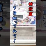 【お茶子編】珍しく倉庫系で新景品取ってきたけど正解択がわからない💦　#倉庫系  #クレーンゲーム #ufoキャッチャー　#ゲームセンター #プライズ獲得 #ヒロアカ　#僕のヒーローアカデミア