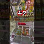 クレーンゲーム初心者向け　　　　　　　　　　#クレーンゲーム #ゲームセンター #面白集 #ゲーセン #ufoキャッチャー #攻略