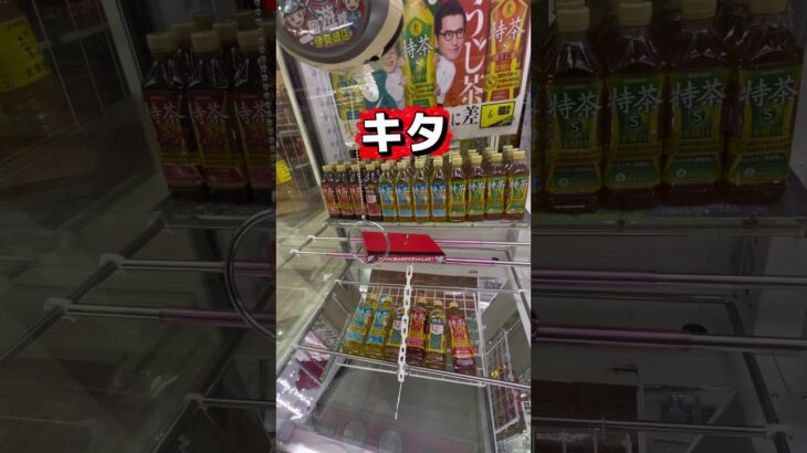 クレーンゲーム初心者向け　　　　　　　　　　#クレーンゲーム #ゲームセンター #面白集 #ゲーセン #ufoキャッチャー #攻略