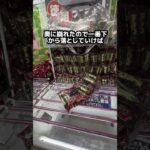 クレーンゲーム初心者向け　　　　　　　　　#クレーンゲーム #すごい #ゲームセンター #面白集 #ufoキャッチャー #攻略