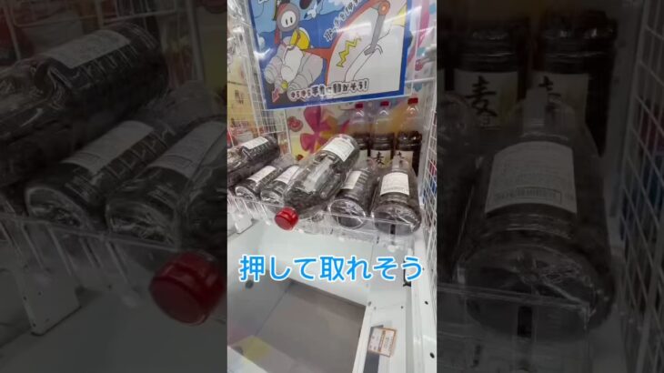 押したら取れそう #クレーンゲーム #ゲームセンター #ufoキャッチャー