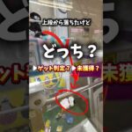 店員さん呼んだらゲット判定なる？ならない？#クレーンゲーム #ゲームセンター #ゲーセン #ufoキャッチャー
