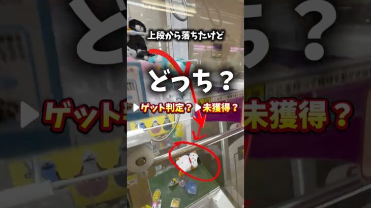 店員さん呼んだらゲット判定なる？ならない？#クレーンゲーム #ゲームセンター #ゲーセン #ufoキャッチャー