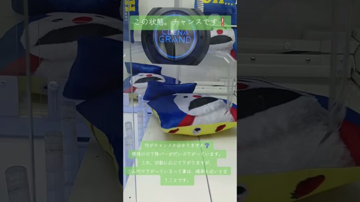 《クレーンゲーム》確率機攻略。獲得口の下降バーがだいぶ下がってるって事は、それなりにお金が注ぎ込まれています。確率は目の前 #クレーンゲーム #プライズ獲得 #ゲームセンター #ufoキャッチャー