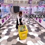 【クレーンゲーム】定価よりも安く取れ！！お菓子を安く取りたい女の末路がヤバすぎる…【ufoキャッチャー】