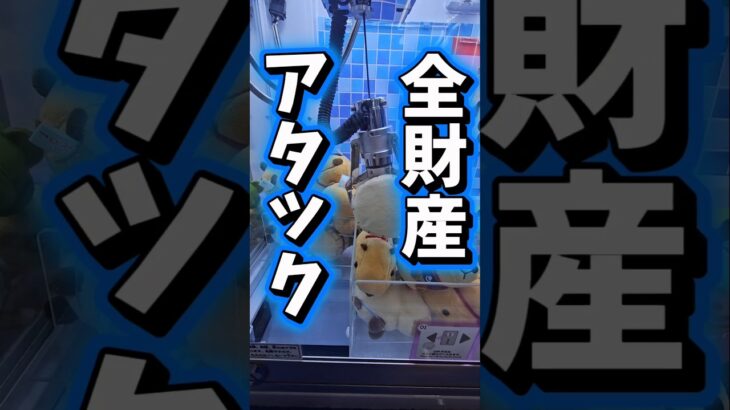 【取れるまでやる！】ローソンキャッチャーで全財産で何個取れるか検証してみた！ #クレーンゲーム #ゲームセンター #ufoキャッチャー