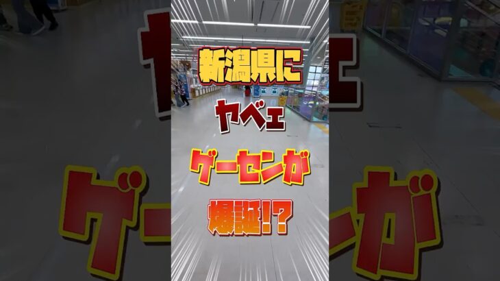 【クレーンゲーム】新潟にヤベェゲーセンが爆誕したぞ！ #クレーンゲーム #おたちゅう #ufoキャッチャー