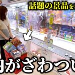 【クレーンゲーム】衝撃⁉︎話題の景品を狙ったら散財しすぎてまさかの結末になりました…【ufoキャッチャー】