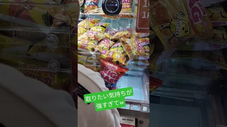 なにしてんだよ笑 #クレーンゲーム攻略 #クレーンゲーム #アミューズメント限定 #ゲームセンター #クレーンゲーム景品 #ufoキャッチャー