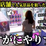 【クレーンゲーム】衝撃!?噂の店舗で人気景品狙ったら想定外な結末が起きました…【ufoキャッチャー】
