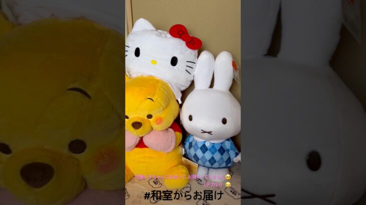 【📍ファンタジアン柳津】#ufoキャッチャー #クレーンゲーム景品 #クレーンゲーム動画 #クレーンゲーム#GET品#クレーンゲーム攻略#夾娃娃店#和室からお届け#ファンタジアン柳津