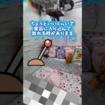 サンリオの景品があったので何円で取れるか検証してみた#クレーンゲーム #ゲームセンター #ゲーセン #ufoキャッチャー #clawmachine