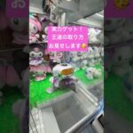 【クレゲ攻略】王道の取り方お見せします#クレーンゲーム #プライズ獲得 #ゲームセンター #ゲーセン #ufoキャッチャー #clawmachine #sanrio #kuromi #shorts