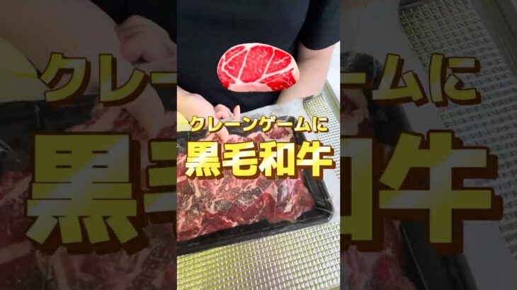 【クレーンゲーム】クレーンゲームに黒毛和牛の景品があった。 #クレーンゲーム #カップル #ゲームセンター #ufoキャッチャー #ゲーセン #彼氏 #攻略 #cranegame