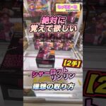 #クレーンゲーム #ufoキャッチャー #もってきーな #onepiece