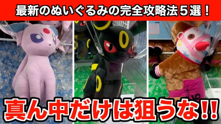 【ブラッキー・ハルウララなど】これを見れば誰でも取れる！クレーンゲームでポケモンなど最新ぬいぐるみ攻略法５選！