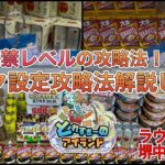 【永久保存版】出禁レベルのフック設定攻略法解説します【ゲームセンター】