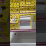 お金入れたら狙ってた景品が？！自然落下？