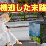 【クレーンゲーム】あと、一手で落とせたはずなのに。