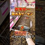 【ゲーセン】群馬県一取れるゲーセンでショッピングカートをパンパンにするにはいくらかかるのか検証してみた🔥(クレーンゲーム)