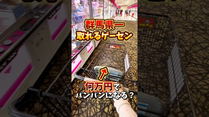 【ゲーセン】群馬県一取れるゲーセンでショッピングカートをパンパンにするにはいくらかかるのか検証してみた🔥(クレーンゲーム)