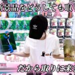 【クレーンゲーム】新景品を取れるまで続けた結果。破産しました。