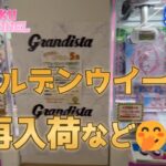 【クレーンゲーム】新プライズ★