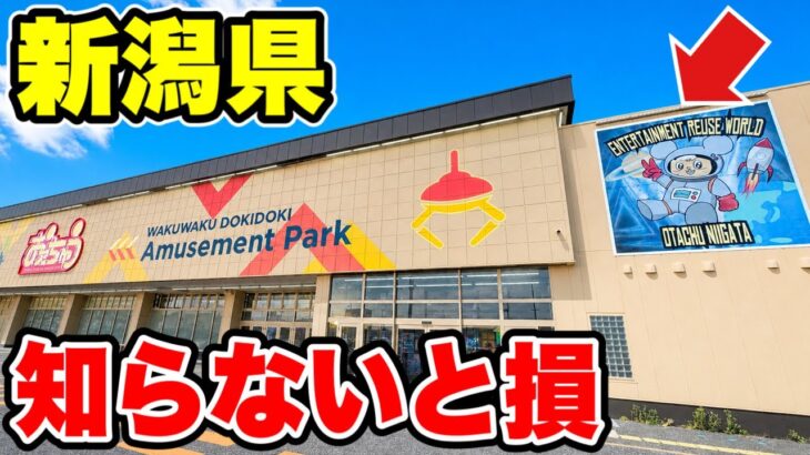 【クレーンゲーム】新潟県で知らないと絶対損するお店！潜入したらガチでヤバかった！