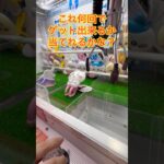 【ちいかわ】洗濯ばさみのプライズを取ってきた♡