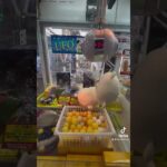 【日本最北端の伝説ゲームセンターでやらかした】